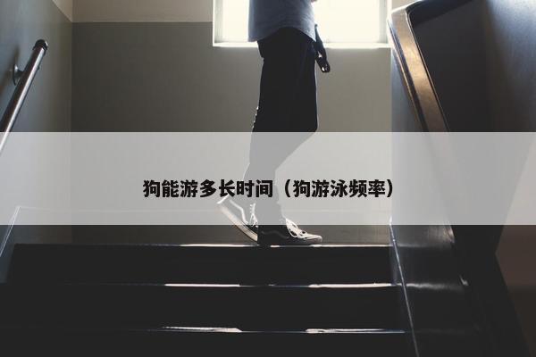狗能游多长时间（狗游泳频率）