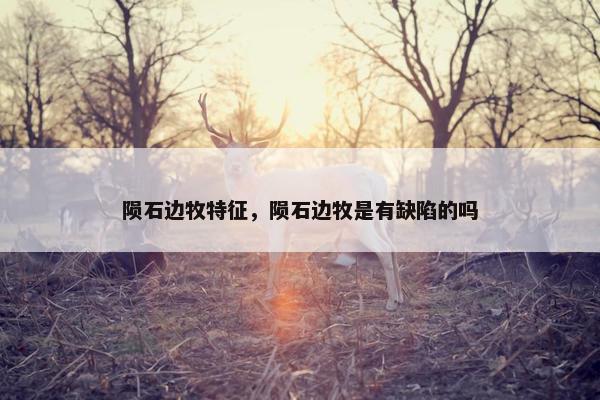 陨石边牧特征，陨石边牧是有缺陷的吗