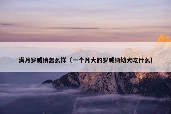 满月罗威纳怎么样（一个月大的罗威纳幼犬吃什么）