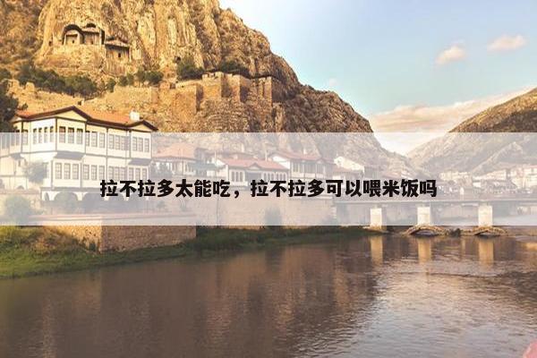 拉不拉多太能吃，拉不拉多可以喂米饭吗