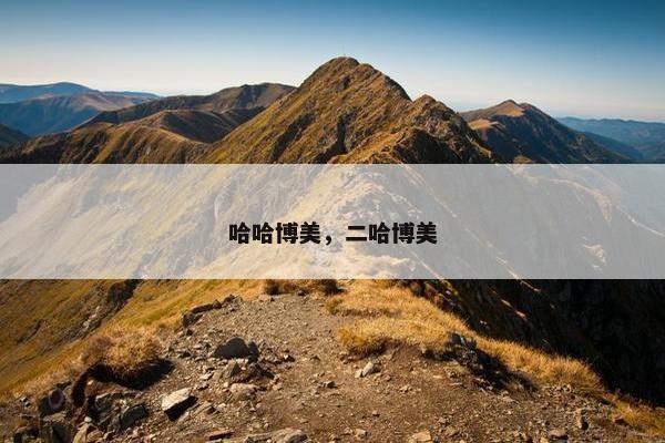 哈哈博美，二哈博美