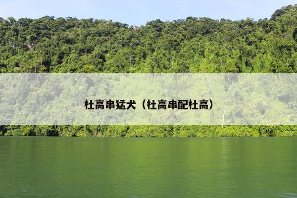 杜高串猛犬（杜高串配杜高）