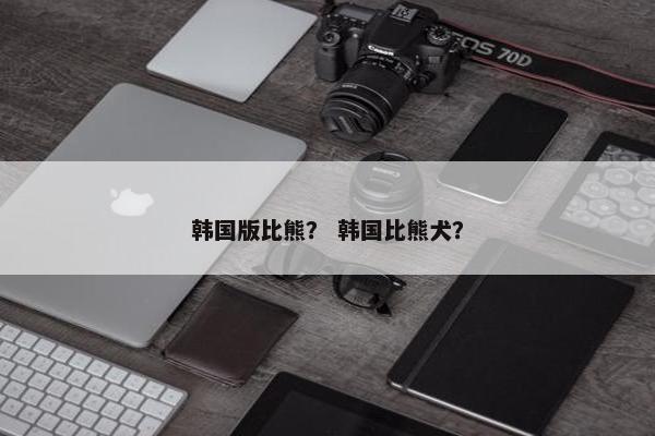 韩国版比熊？ 韩国比熊犬？