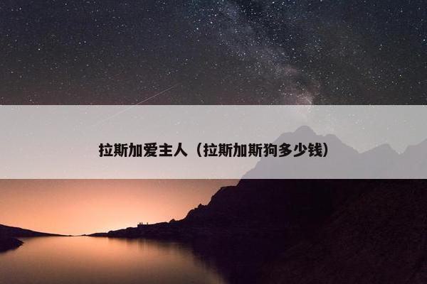 拉斯加爱主人（拉斯加斯狗多少钱）