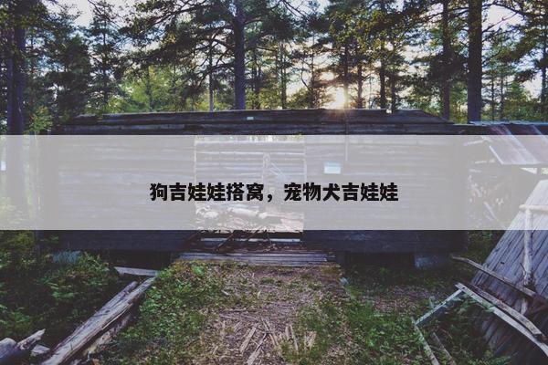 狗吉娃娃搭窝，宠物犬吉娃娃