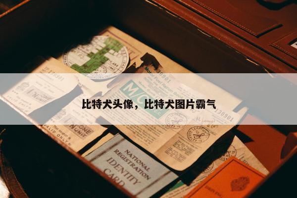 比特犬头像，比特犬图片霸气