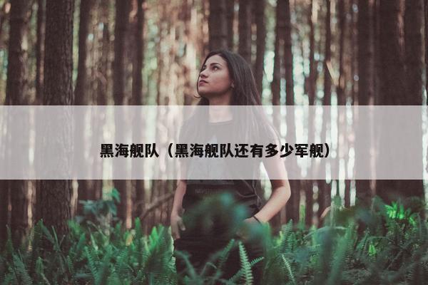 黑海舰队（黑海舰队还有多少军舰）