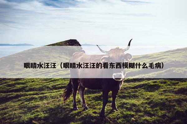 眼睛水汪汪（眼睛水汪汪的看东西模糊什么毛病）