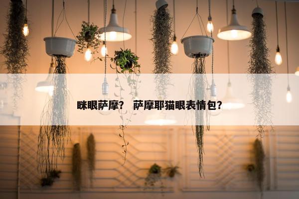 眯眼萨摩？ 萨摩耶猫眼表情包？