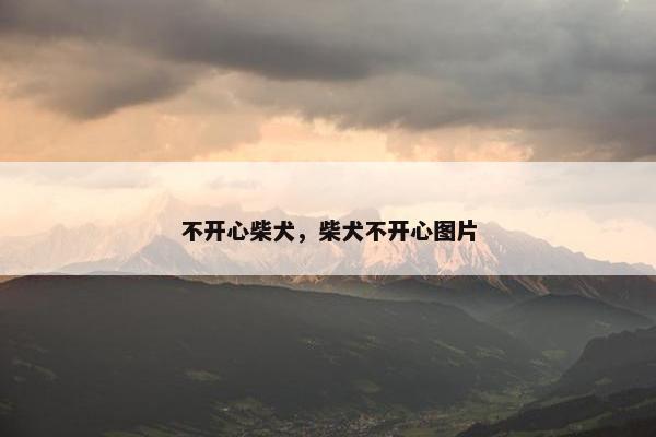 不开心柴犬，柴犬不开心图片