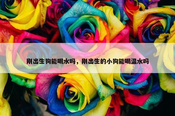 刚出生狗能喝水吗，刚出生的小狗能喝温水吗