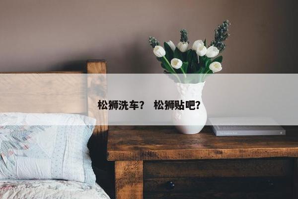 松狮洗车？ 松狮贴吧？
