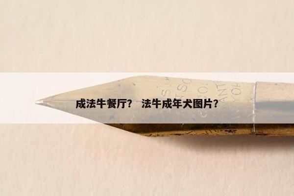 成法牛餐厅？ 法牛成年犬图片？