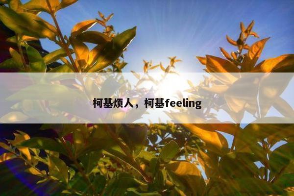 柯基烦人，柯基feeling
