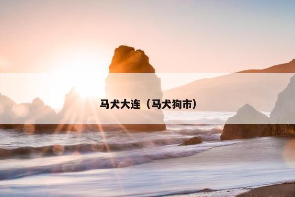 马犬大连（马犬狗市）