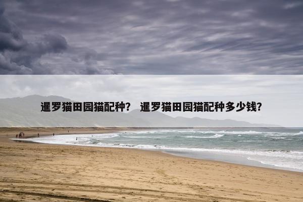 暹罗猫田园猫配种？ 暹罗猫田园猫配种多少钱？