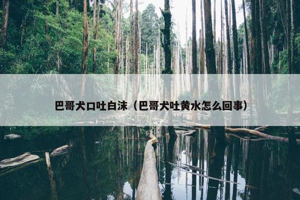巴哥犬口吐白沫（巴哥犬吐黄水怎么回事）