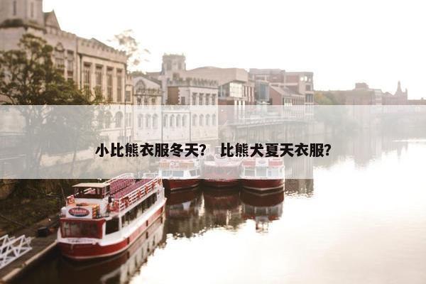 小比熊衣服冬天？ 比熊犬夏天衣服？