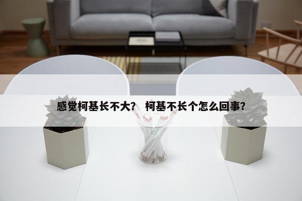 感觉柯基长不大？ 柯基不长个怎么回事？