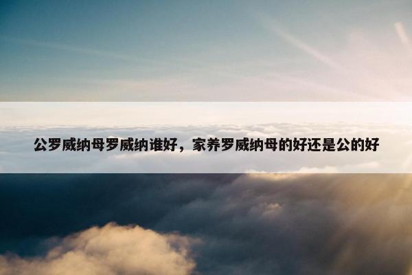 公罗威纳母罗威纳谁好，家养罗威纳母的好还是公的好