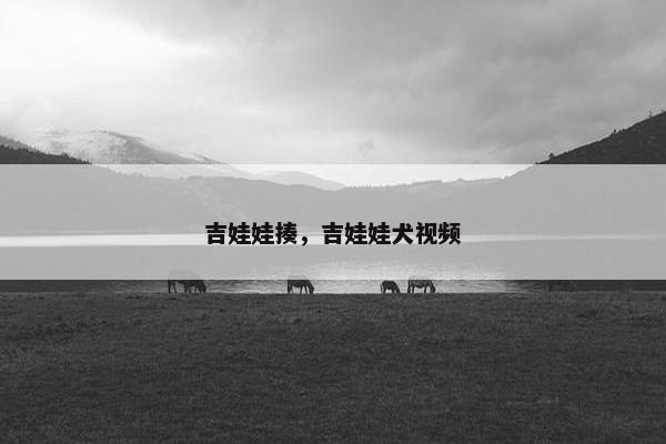 吉娃娃揍，吉娃娃犬视频
