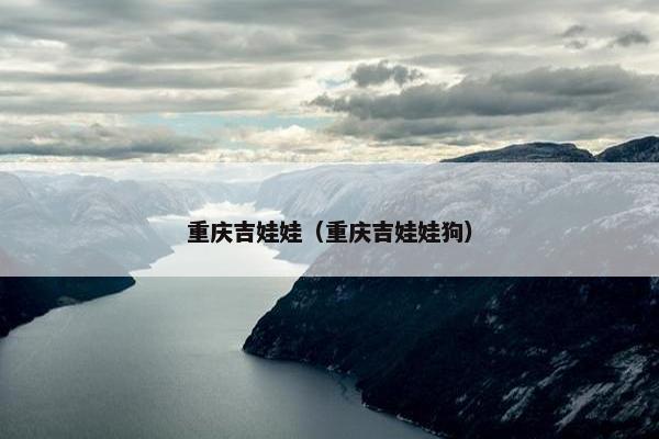 重庆吉娃娃（重庆吉娃娃狗）