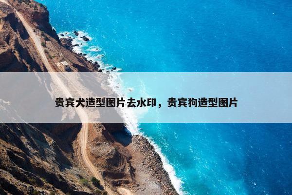 贵宾犬造型图片去水印，贵宾狗造型图片