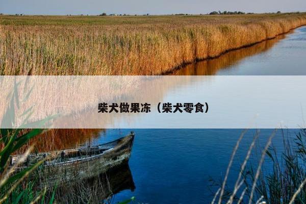 柴犬做果冻（柴犬零食）