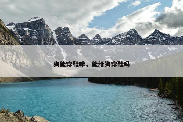 狗能穿鞋嘛，能给狗穿鞋吗