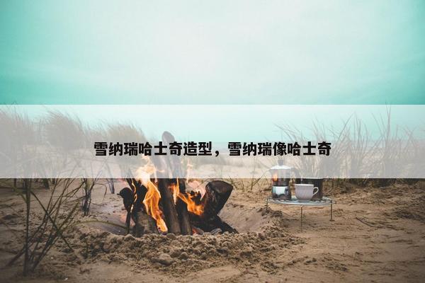雪纳瑞哈士奇造型，雪纳瑞像哈士奇