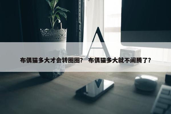 布偶猫多大才会转圈圈？ 布偶猫多大就不闹腾了？
