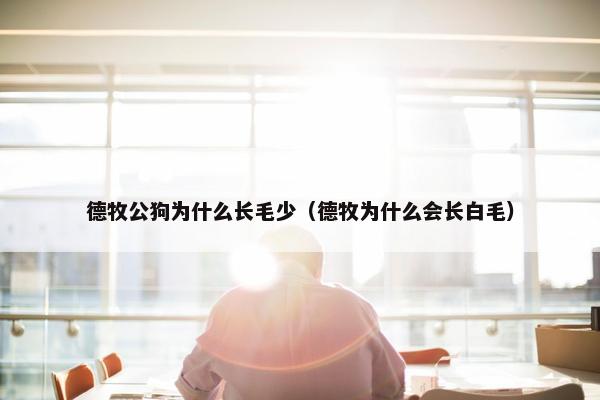 德牧公狗为什么长毛少（德牧为什么会长白毛）