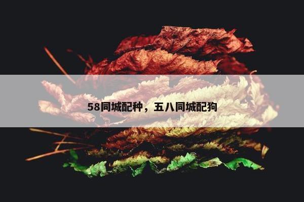 58同城配种，五八同城配狗