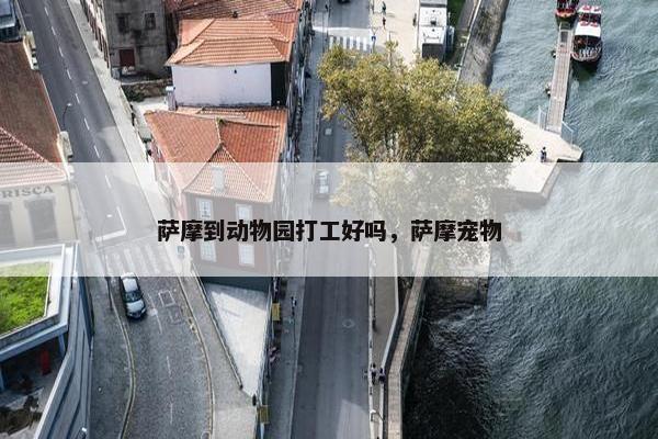 萨摩到动物园打工好吗，萨摩宠物