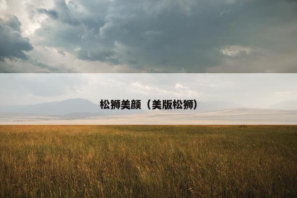 松狮美颜（美版松狮）