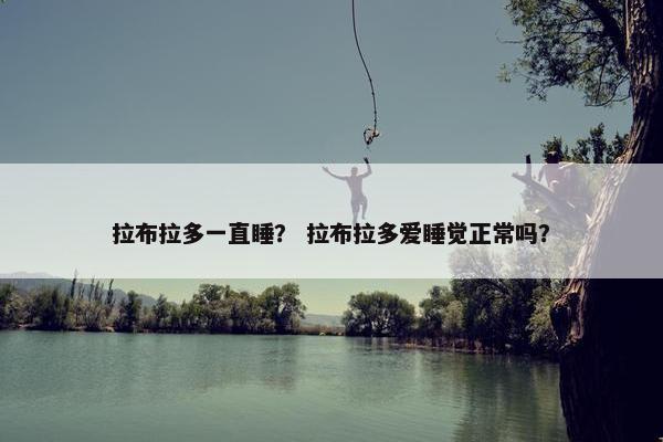 拉布拉多一直睡？ 拉布拉多爱睡觉正常吗？