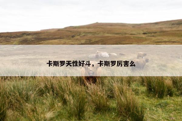 卡斯罗天性好斗，卡斯罗厉害么