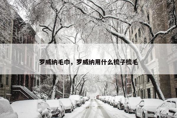 罗威纳毛巾，罗威纳用什么梳子梳毛