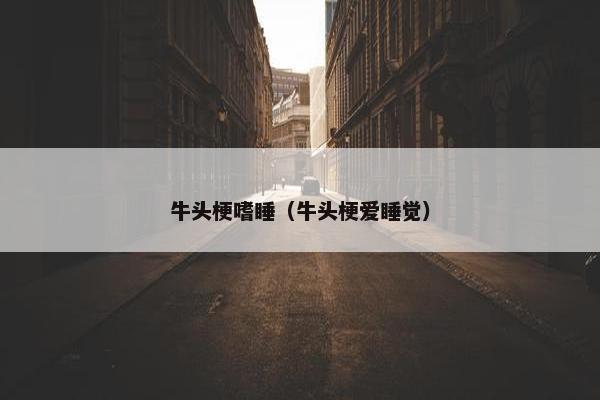 牛头梗嗜睡（牛头梗爱睡觉）