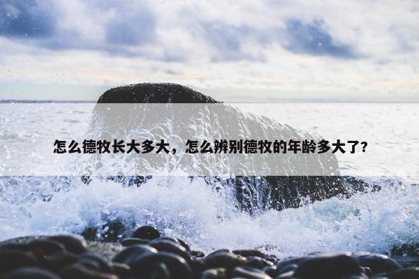 怎么德牧长大多大，怎么辨别德牧的年龄多大了?