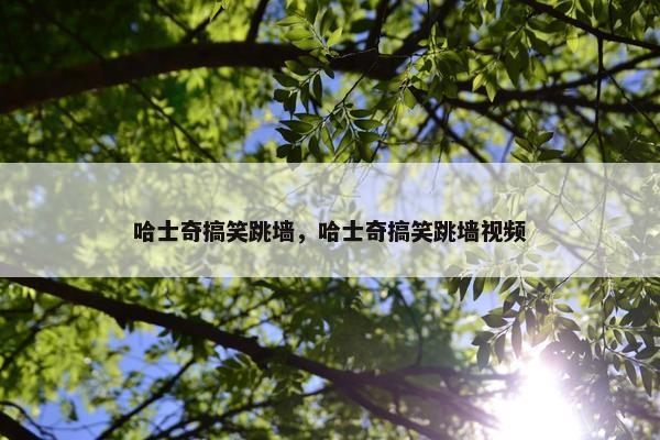 哈士奇搞笑跳墙，哈士奇搞笑跳墙视频
