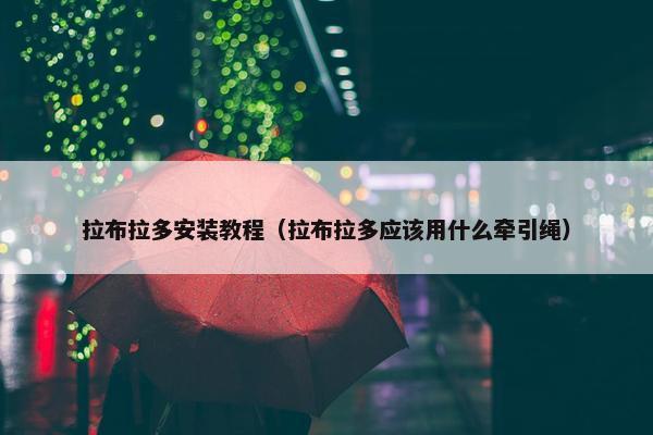 拉布拉多安装教程（拉布拉多应该用什么牵引绳）