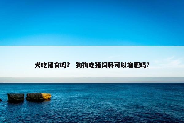 犬吃猪食吗？ 狗狗吃猪饲料可以增肥吗？