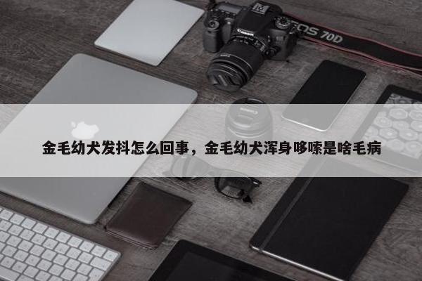 金毛幼犬发抖怎么回事，金毛幼犬浑身哆嗦是啥毛病