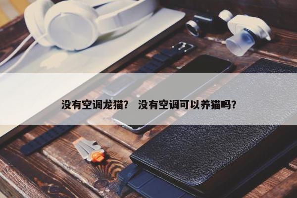 没有空调龙猫？ 没有空调可以养猫吗？
