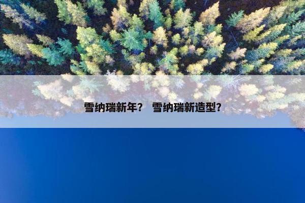 雪纳瑞新年？ 雪纳瑞新造型？