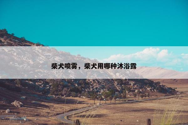 柴犬喷雾，柴犬用哪种沐浴露