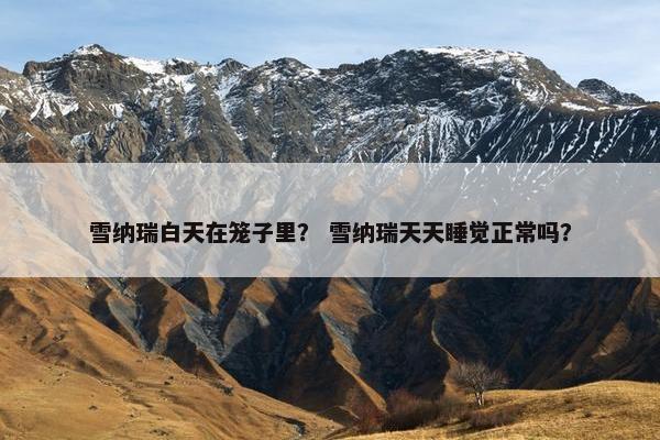 雪纳瑞白天在笼子里？ 雪纳瑞天天睡觉正常吗？