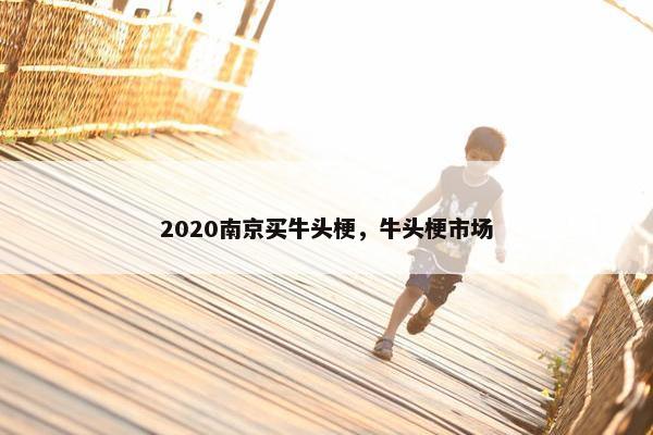 2020南京买牛头梗，牛头梗市场
