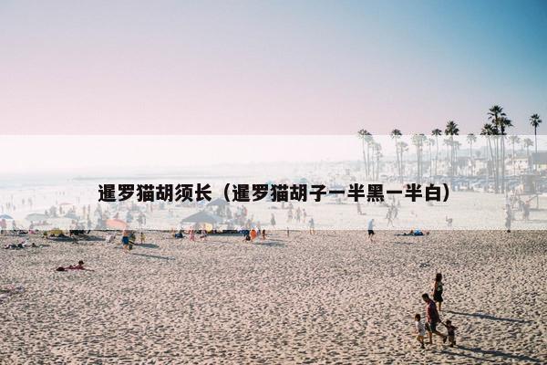 暹罗猫胡须长（暹罗猫胡子一半黑一半白）